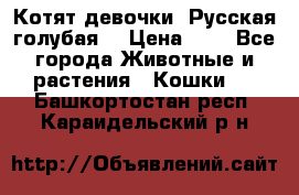 Котят девочки “Русская голубая“ › Цена ­ 0 - Все города Животные и растения » Кошки   . Башкортостан респ.,Караидельский р-н